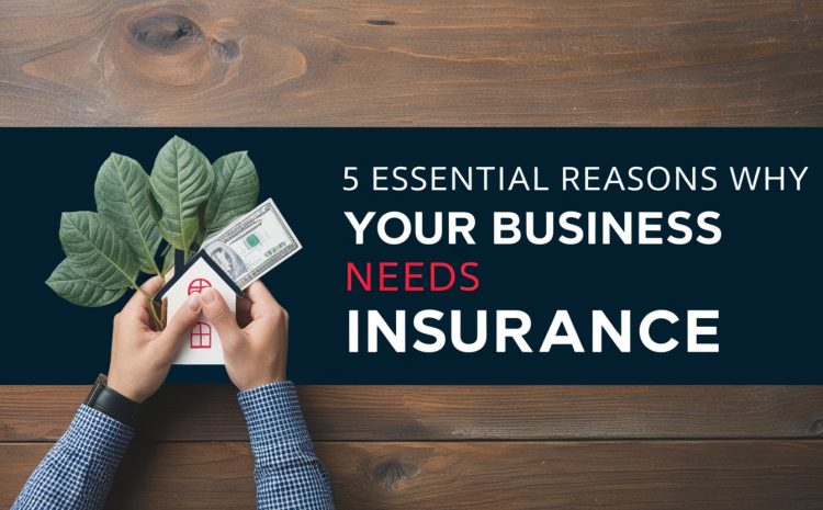  5 Essential Reasons Why Your Bussines Need Insurance